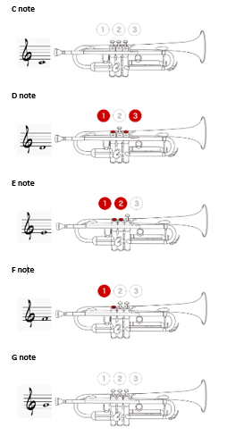 education, brass, trombone, trumpet