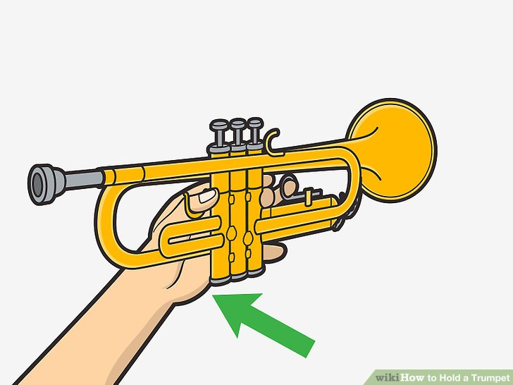 aid9544312-v4-728px-Hold-a-Trumpet-Step-05