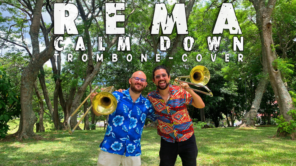 Calm down trombone cover